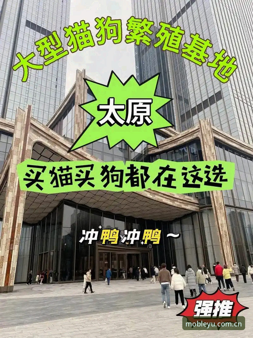 乐鱼体育平台靠谱性完整指南：从功能体验到行业定位的深度分析